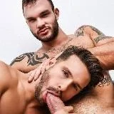 Gay Pornstars
