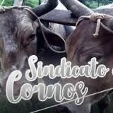 SINDICATO DOS CORNOS