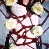 afnseva_shibari