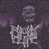 phonk.elita