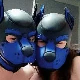 Royal Blue Pups