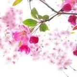 反差人妻／熟女乱伦／极品良家