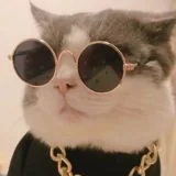局外翻