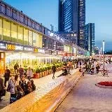 Сливы Арбата