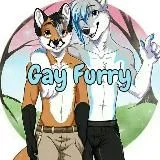 Gay Furry