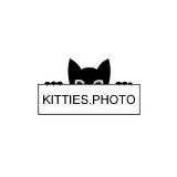 КОТИКИ И КОШЕЧКИ