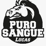 LucasPeracchi Purosanguelucas
