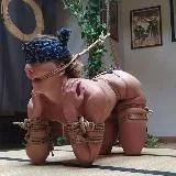 SHIBARI #УкрТґ
