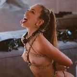 My BDSM Collection 18+