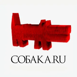 Собака.ru Самара