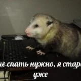 Бедное солнце 18+