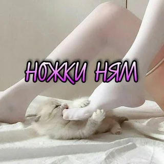 Ножки ням