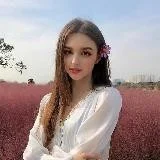 电影小说