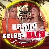 GRAND TELEGA SLIV