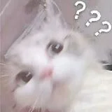 Gacha life монтаж