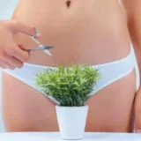 pussy bush