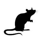 ШАРЮ — Для Взрослых Telegram