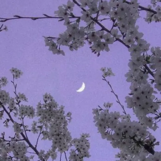 vibe music曆 — Музыка Telegram