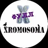 XROMOSOMA TV — Для Взрослых Telegram