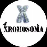 XROMOSOMA — Для Взрослых Telegram
