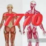 TRANSVEST7770 — Для Взрослых Telegram