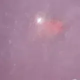 MY TOP — Для Взрослых Telegram