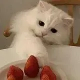 ПОСЛЕДНИЕ НОВОСТИ — Для Взрослых Telegram