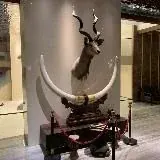 少女 学生 萝莉 — Для Взрослых Telegram