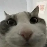 segs — Réservé aux adultes Telegram