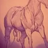 Four Legs, One Dick — Для Взрослых Telegram