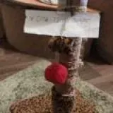 Жопы твоих Подруг — Для Взрослых Telegram