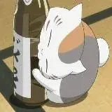 Kotarium NSFW — Для Взрослых Telegram