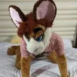 Gay Murr stuff (18+) — Réservé aux adultes Telegram