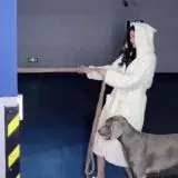 加入新频道@purelove1616 — Réservé aux adultes Telegram