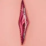 Бывшие Шкуры — Для Взрослых Telegram