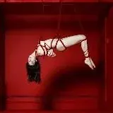 RedRoom — Для Взрослых Telegram