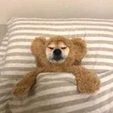 91pron热门资源备份 — Réservé aux adultes Telegram