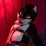 Jamie's Play Sessions — Для Взрослых Telegram