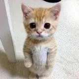 Playground — Для Взрослых Telegram