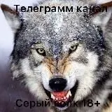 Серый Волк 18+ — Для Взрослых Telegram
