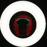 DOGS & BAD BOYS BDSM 18+ — Для Взрослых Telegram