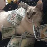 ꜱᴏᴍᴇ ᴘʀᴇᴛᴛʏ ɢɪʀʟꜱ — Для Взрослых Telegram