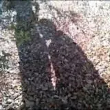 EXTM3U — Для Взрослых Telegram