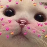 щось миленьке кожен день — Для Взрослых Telegram