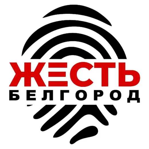 Жесть Белгород — Nachrichten und Medien Telegram