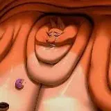 Heavy Indulgence — Для Взрослых Telegram