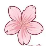 日本AV女优视频无码有码 — Для Взрослых Telegram