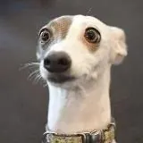 Это фиаско, братан! — Réservé aux adultes Telegram