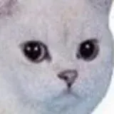 mdafap — Для Взрослых Telegram