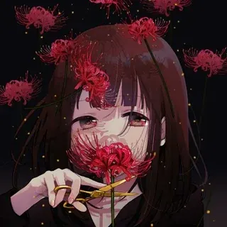 🎴hikkavine🎴 — Anime Telegram